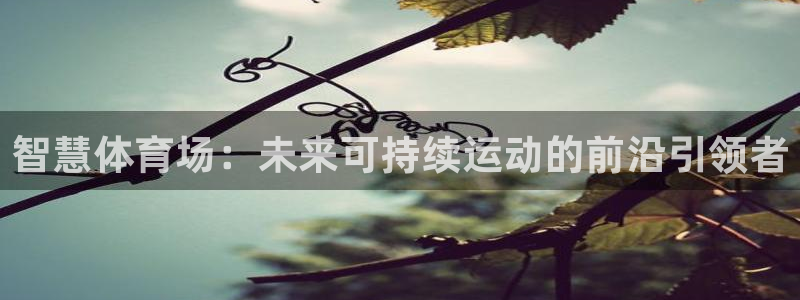 尊龙凯时网页版