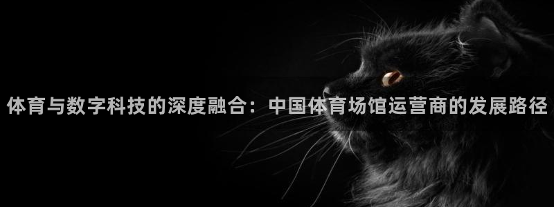 凯时国际app登录