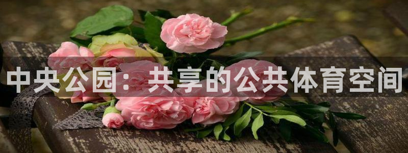 kb88凯时唯一官网注册