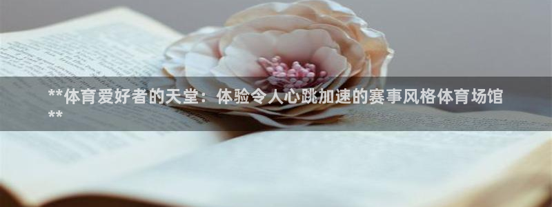 尊龙物流怎么样：**体育爱好者的天堂：体验令人心跳加速的赛事