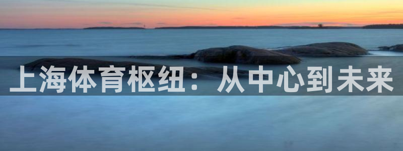 d88尊龙官网手机app