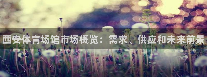 尊龙D88现金旧版：西安体育场馆市场概览：需求、供应和未来前