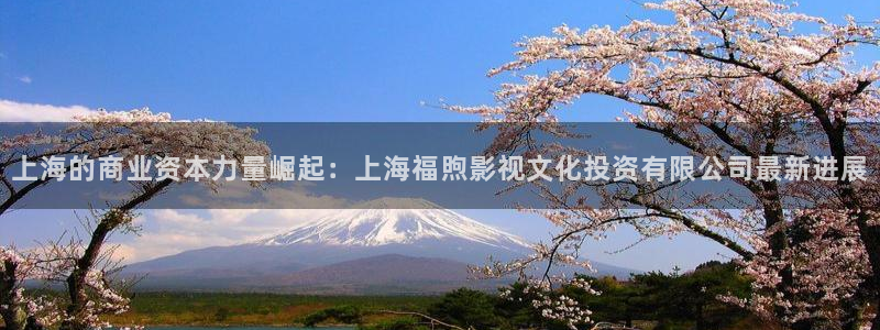 顶楼的大象韩国电影完整版：上海的商业资本力量崛起：上海福煦影视文化投资有限公司最新进展