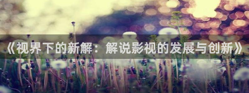 韩国限制级电影顶楼的大象：《视界下的新解：解说影视的发展与创新》