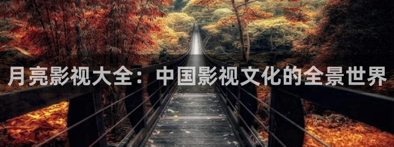 大象影院在线播放：月亮影视大全：中国影视文化的全景世界