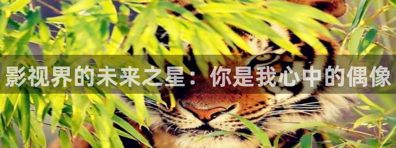 大象视频在线播放免费观看电视剧：影视界的未来之星：你是我心中的偶像